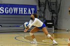 Women’s VB intersquad  Women’s Volleyball inter-squad match. : Women’s Volleyball, VB, inter squad, intersquad
